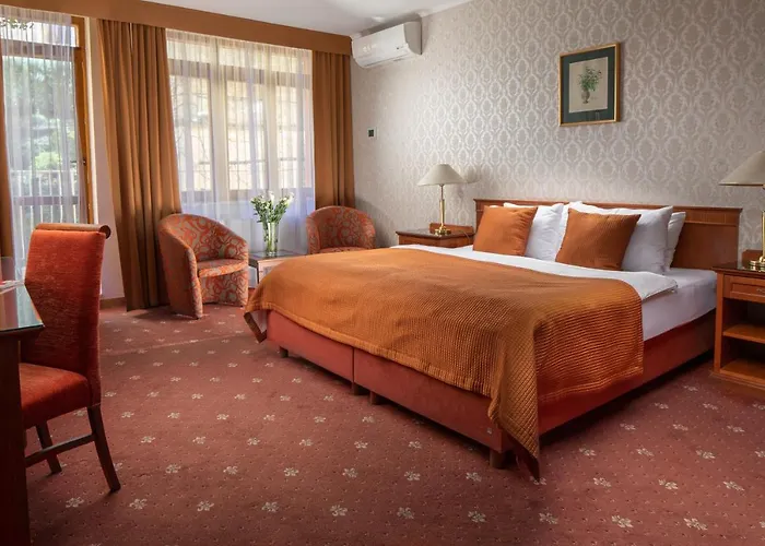 ホテル Promenada Romantic カルロヴィ・ヴァリ